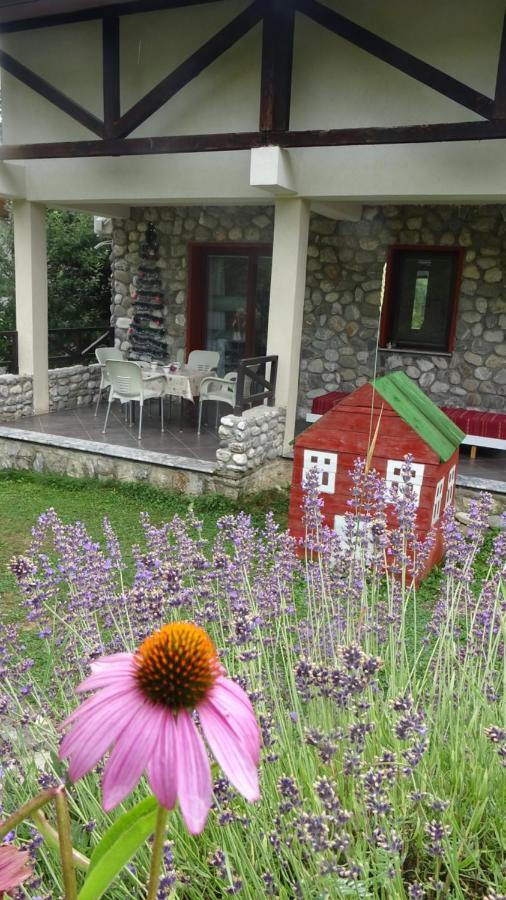 Chalet Mila มาโวรโว ภายนอก รูปภาพ